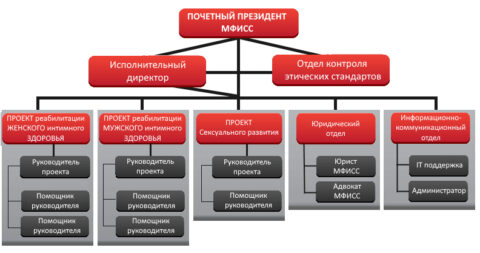 Диаграмма организационной структуры МФИСС